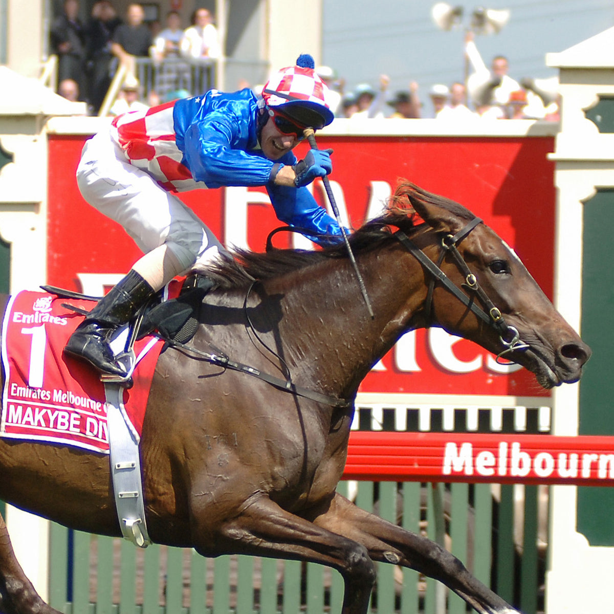 Makybe Diva Swanky Socks